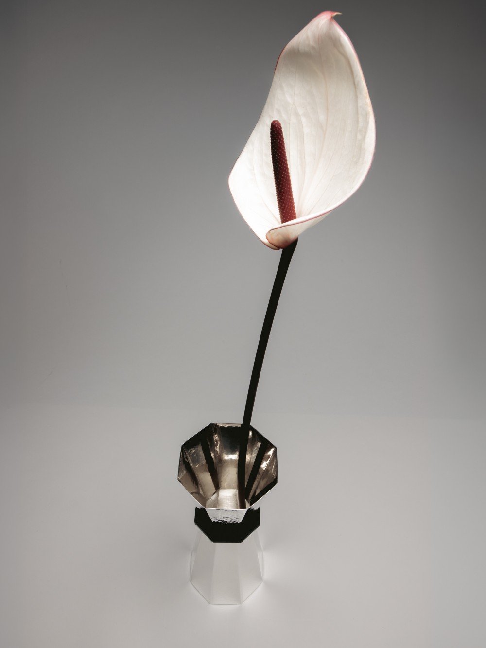 silver-plated-pitcher-alegria-zanetto-garce-dimofski-2
